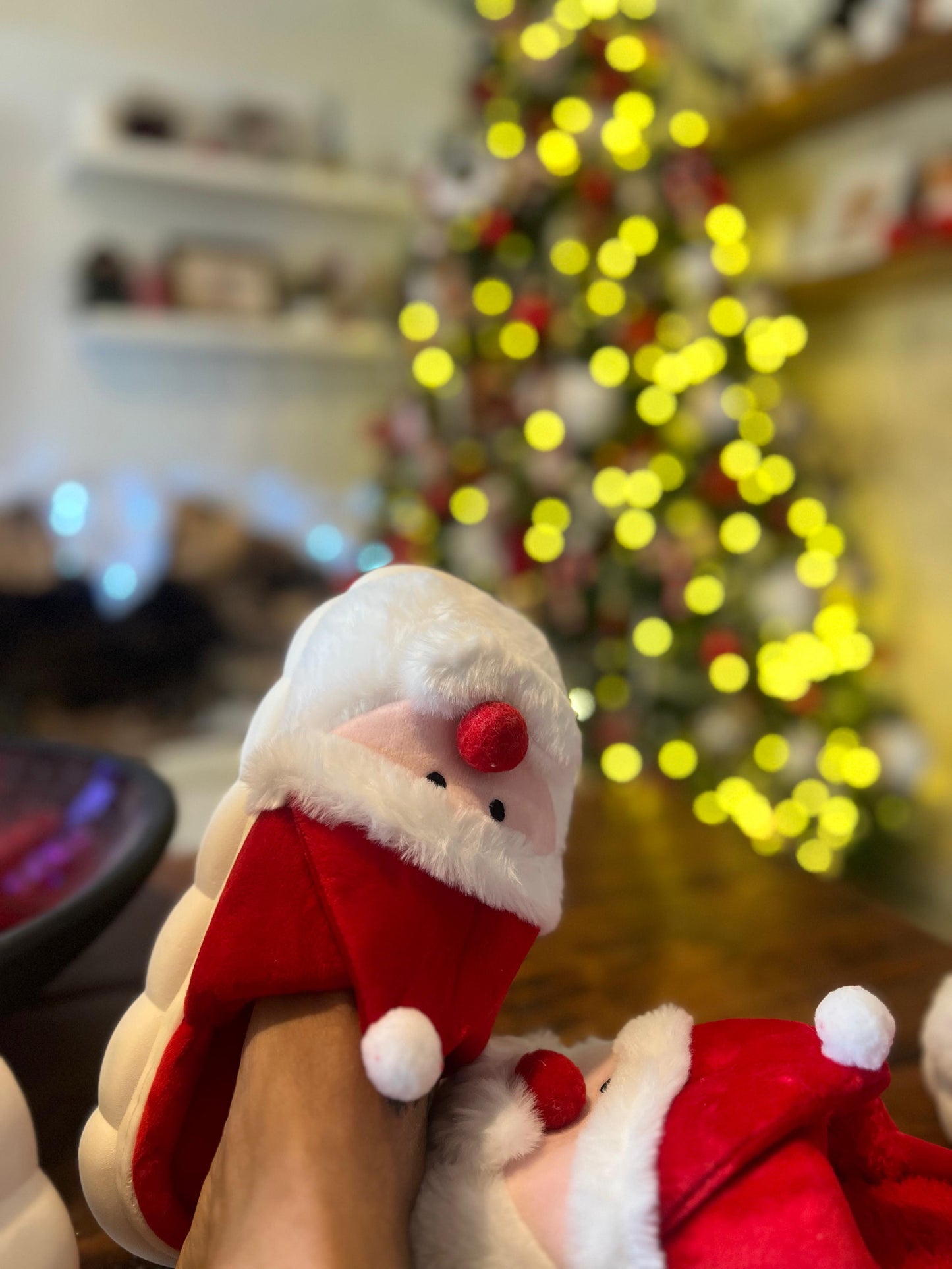 Santa Soles